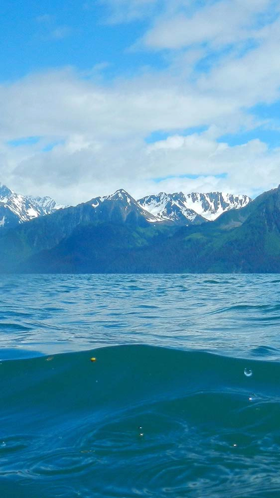 Experience all Alaska has to offer with Russell Fishing Company