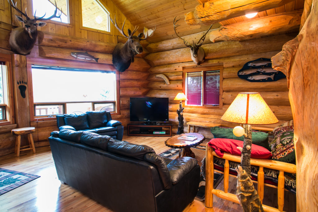 Comfortable Living Area inside Eagle View Cabin