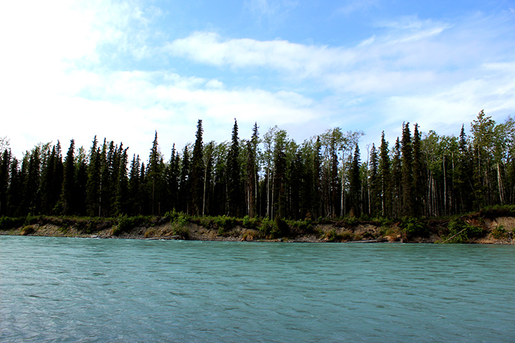 Kasilof River Alaska