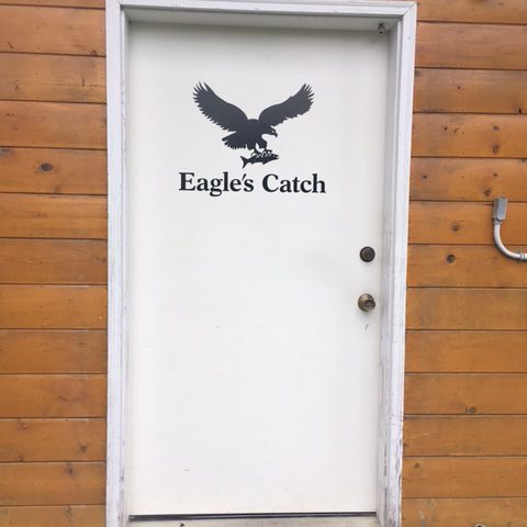 a cat sitting on top of a wooden door