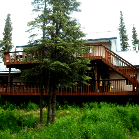 a tree in front of a house