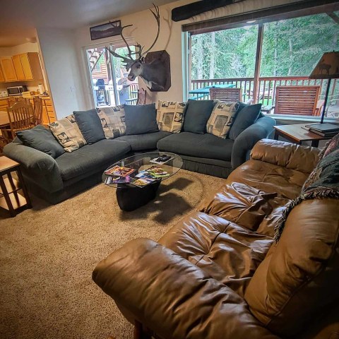 Cozy living room with sofas, deer mount, large window, and view of forested deck.