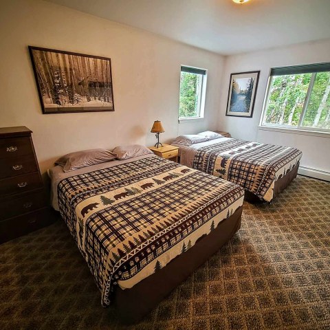 Bedroom with two twin beds, bear-themed quilts, two windows, dresser, lamp, and forest-themed wall art.