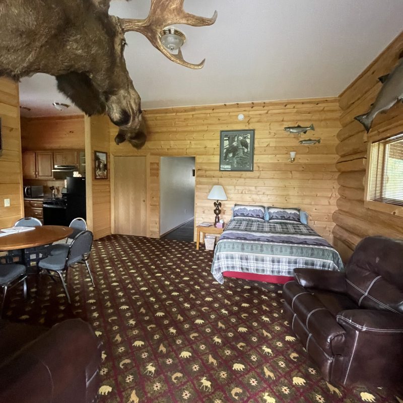 a cat that is standing in a room