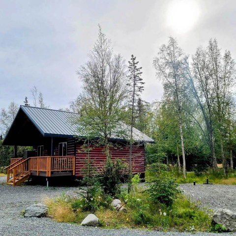 a tree in front of a house