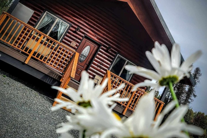 Log cabin with white daisies in foreground, gray sky backdrop.