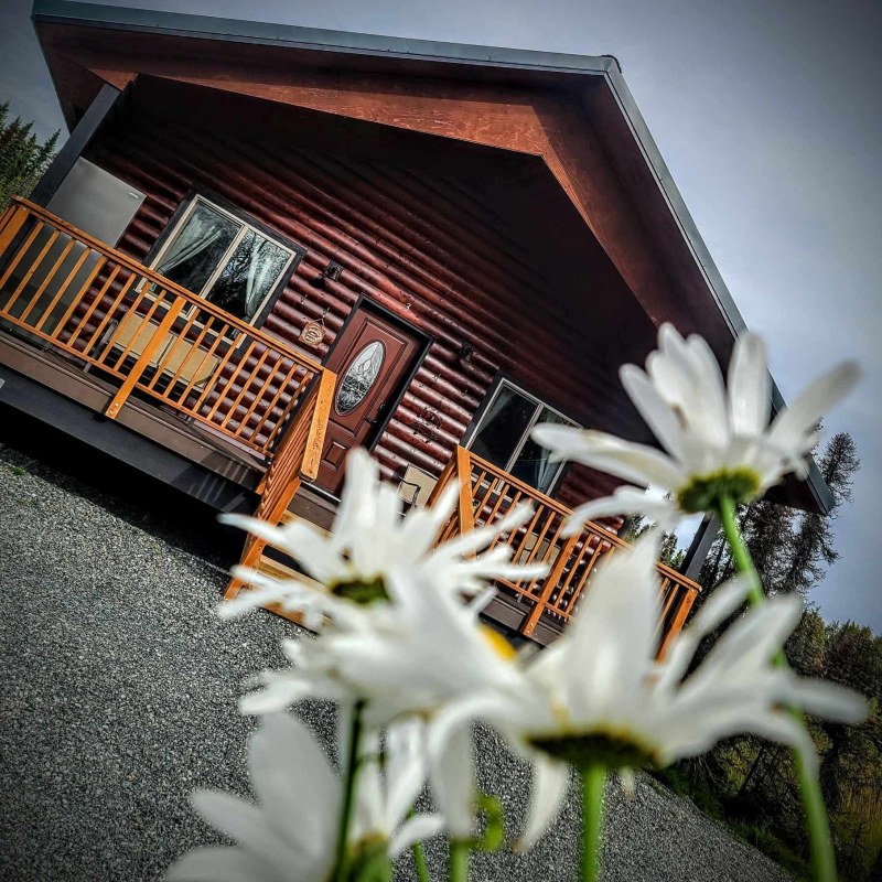 Log cabin with white daisies in foreground, gray sky backdrop.