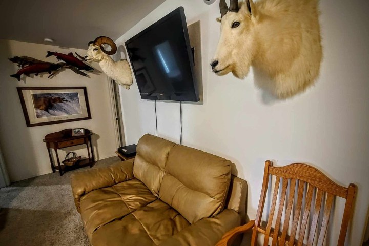 Room with sofa, wooden chair, mounted animal heads, and wall decor.